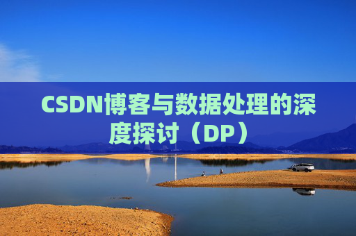 CSDN博客与数据处理的深度探讨（DP）